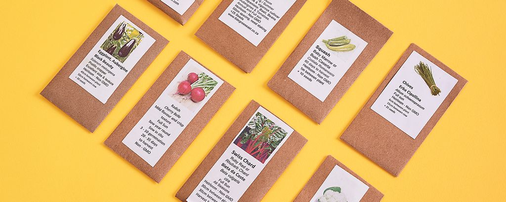 6 Degrees East Cover Image